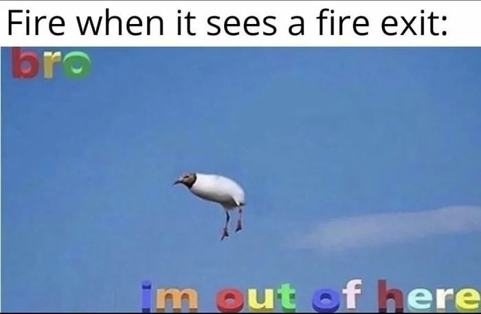 Meme about fire escaping through a fire exit with a flying bird