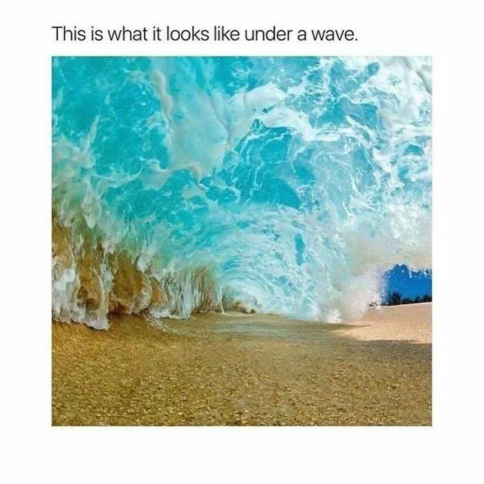103 Memes That You May Love If You’re Looking For Something Randomly Funny (New Pics)