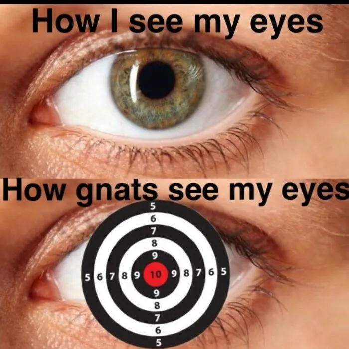 75 Memes That Capture The Best, Worst, And Funniest Parts Of Life Outdoors