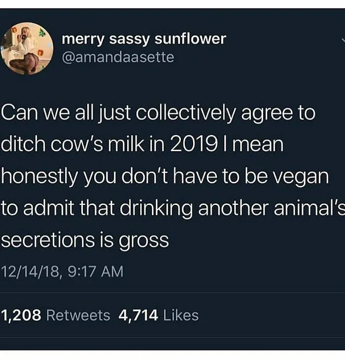 A tweet from merry sassy sunflower discussing ditching cow's milk and being vegan. Funny memes for vegans.
