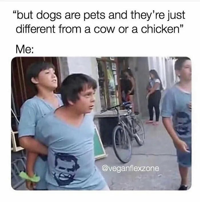 A funny meme for vegans, featuring two boys in blue shirts, one holding the other from behind, both looking shocked.