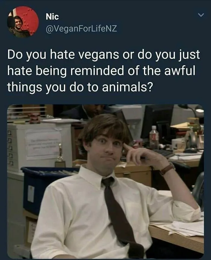 Funny memes for vegans. Jim from The Office looks confused by a tweet asking if people hate vegans or hate being reminded of animal harm.