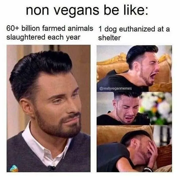 A meme contrasting the reaction to slaughtered animals versus a dog being euthanized, with a man smiling and then crying. Funny memes for vegans.