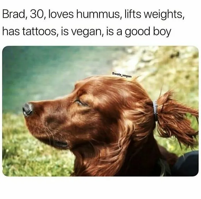 A humorous image of a dog with a man bun, labeled as Brad, 30, loves hummus, lifts weights, has tattoos, is vegan, is a good boy. This is a funny meme for vegans.