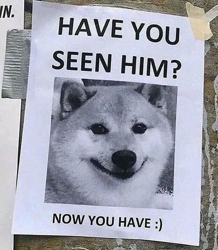 A flyer with Have You Seen Him? and a smiling doge face. A humorous positive post to make your day.