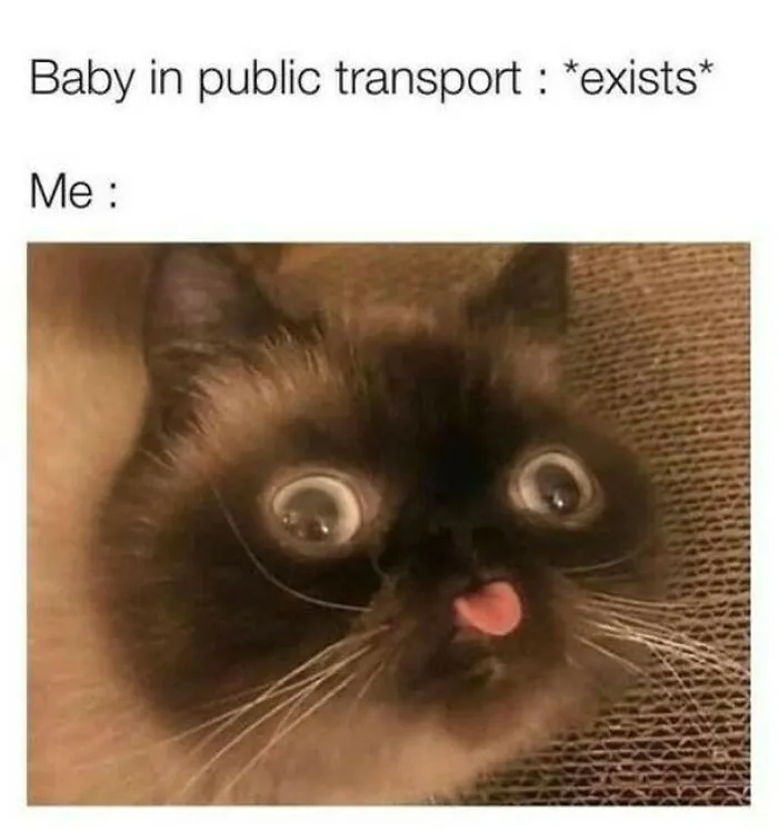 A meme with text and a cross-eyed cat with its tongue out. It suggests making your day with positive posts.