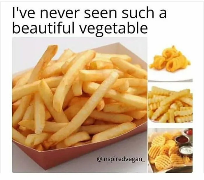69 Vegan Memes That Never Get Old 
