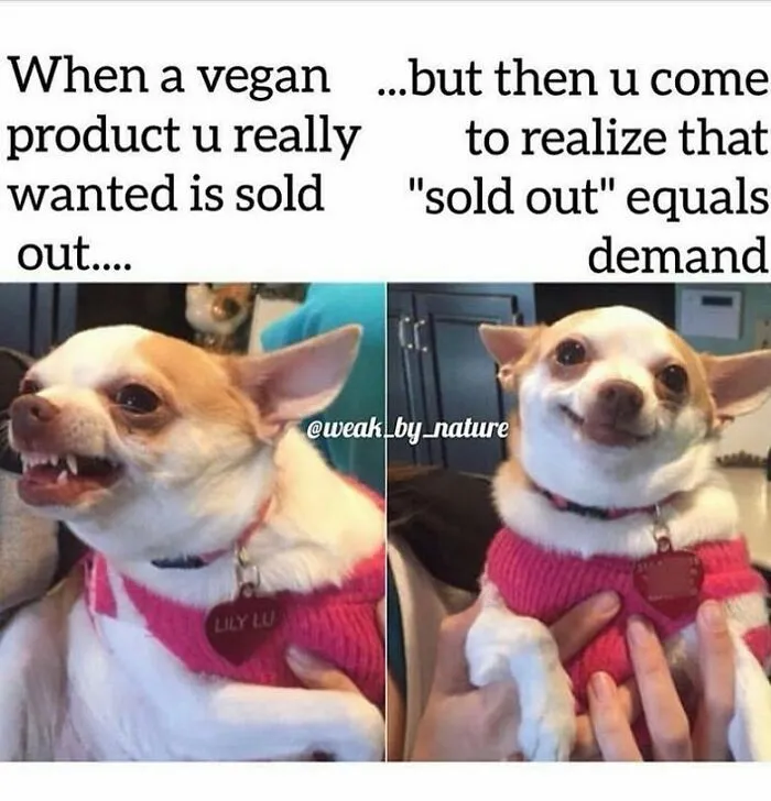 Funny memes of a chihuahua reacting to a sold out vegan product, then realizing it means more demand for vegans.