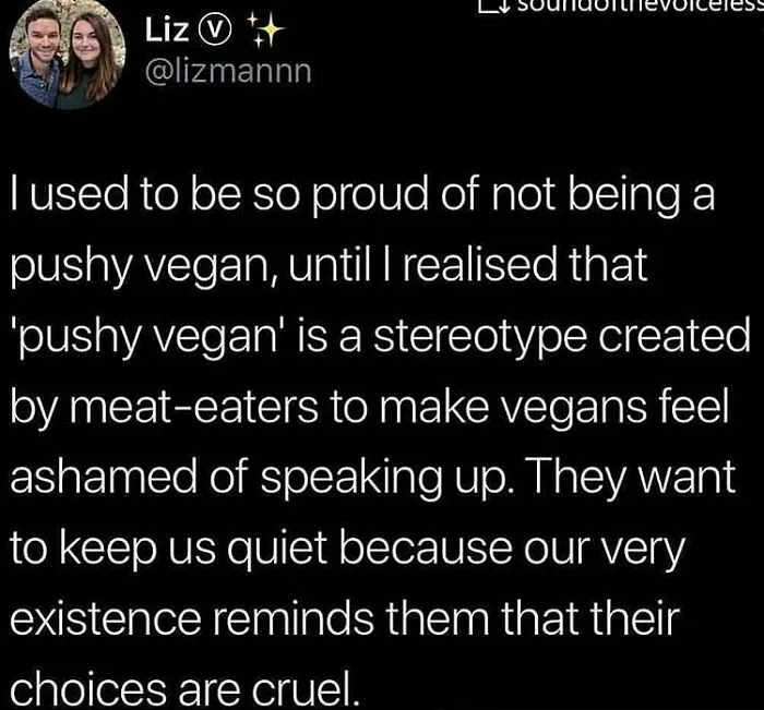 A Twitter post from @lizmannn shares a text about being a vegan and stereotypes. Funny memes about vegans are tiresome.