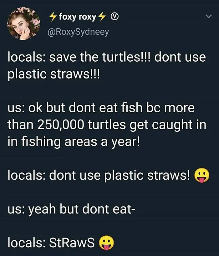 A tweet from Foxy Roxy showing a conversation on turtle conservation, highlighting funny memes for vegans and selective activism.