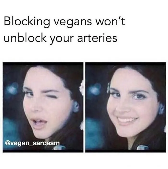 Funny memes for vegans feature a woman winking and smiling, with text: Blocking vegans won't unblock your arteries.