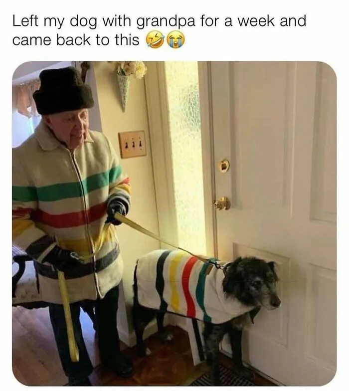 83 Soul-Healing Posts Full Of ‘Very Important Positivity’ To Make Your Day A Little Better (New Pics)