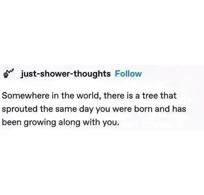 A positive post from just-shower-thoughts: a tree sprouted the day you were born and grows with you. This might make your day!