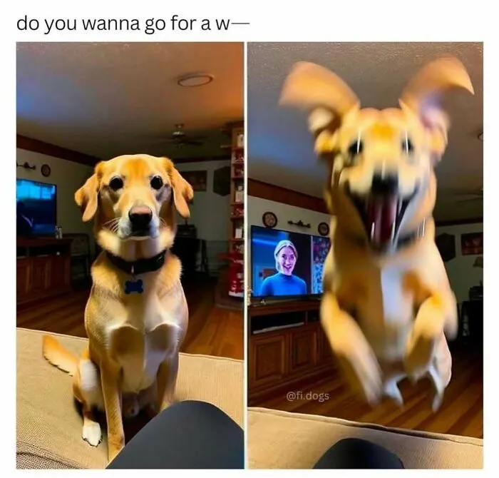 85 Memes To Make You Chuckle When You Need It The Most