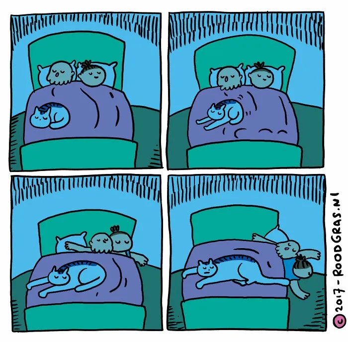 “I Think Everyone Loves Cats”: 26 Adorable Comics By Rob Van Barneveld (New Pics)