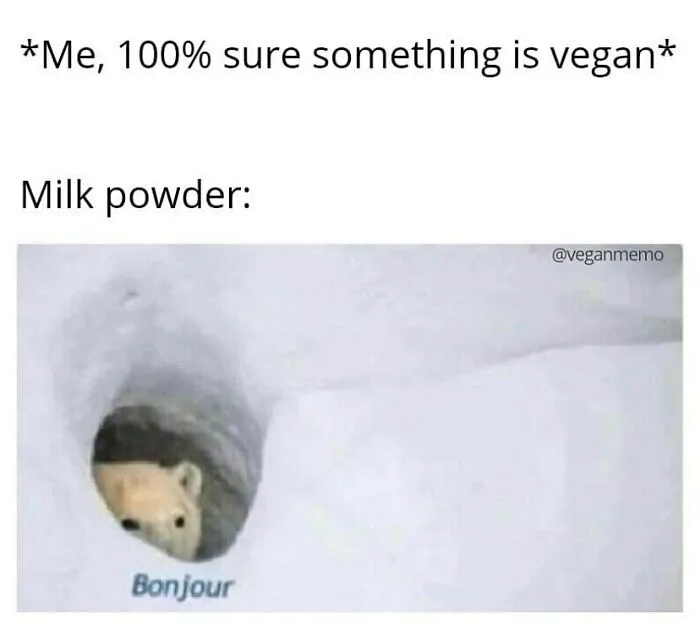 A funny vegan meme with a hedgehog peeking from a snow tunnel saying Bonjour, depicting an unexpected ingredient.