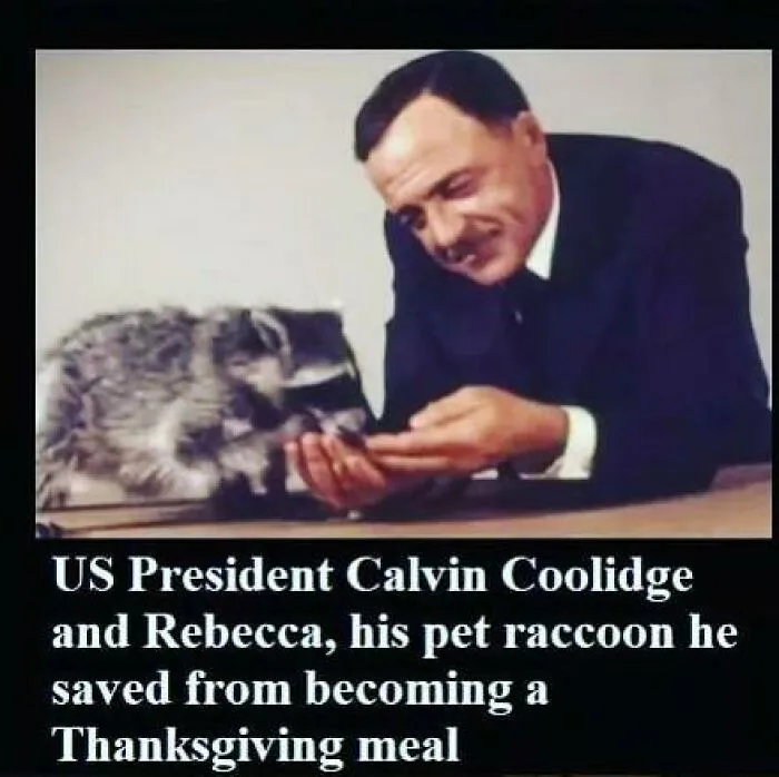 President Calvin Coolidge with his pet raccoon, Rebecca. A positive post that might make your day!