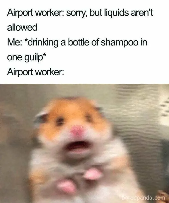 61 Hilariously Relatable Travel Memes That Hit Harder Than Jet Lag