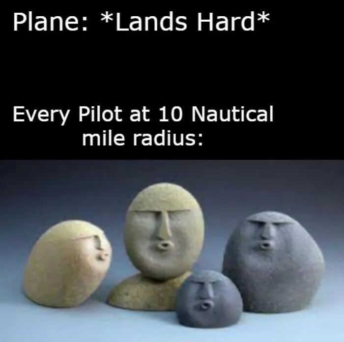 62 Aviation Memes That Prove Pilots And Passengers Think Differently