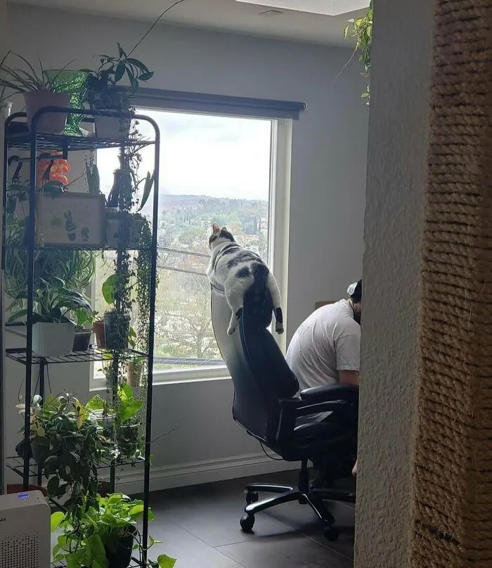 60 Times Animals Were Caught Doing Something So Uniquely Weird People Just Had To Take A Photo (New Pics)