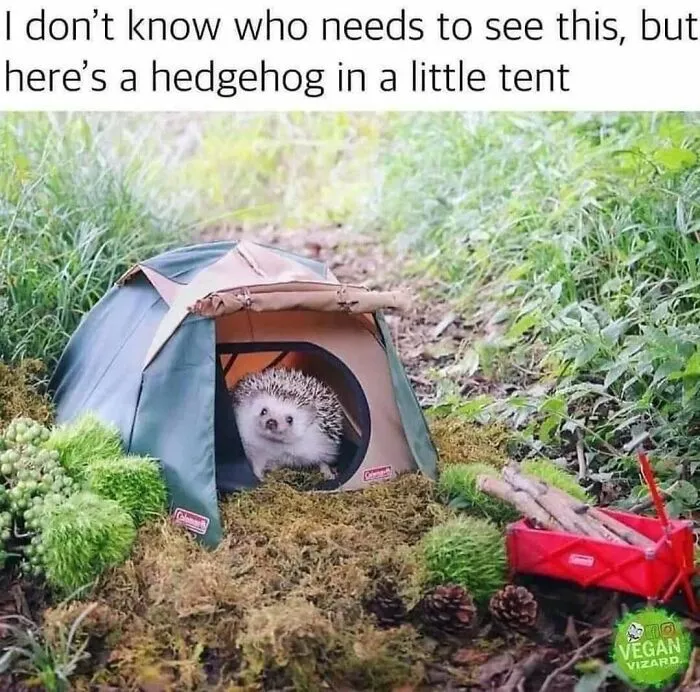 75 Memes That Capture The Best, Worst, And Funniest Parts Of Life Outdoors