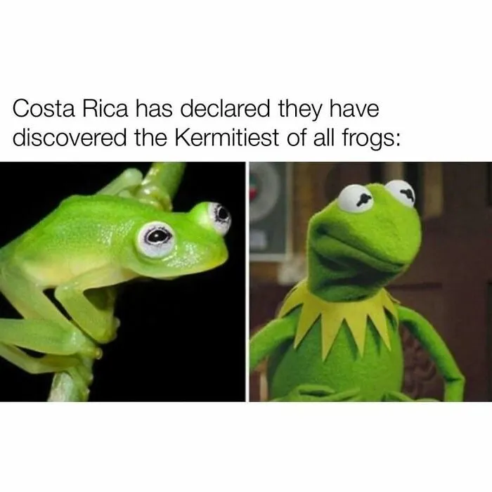 85 Memes To Make You Chuckle When You Need It The Most