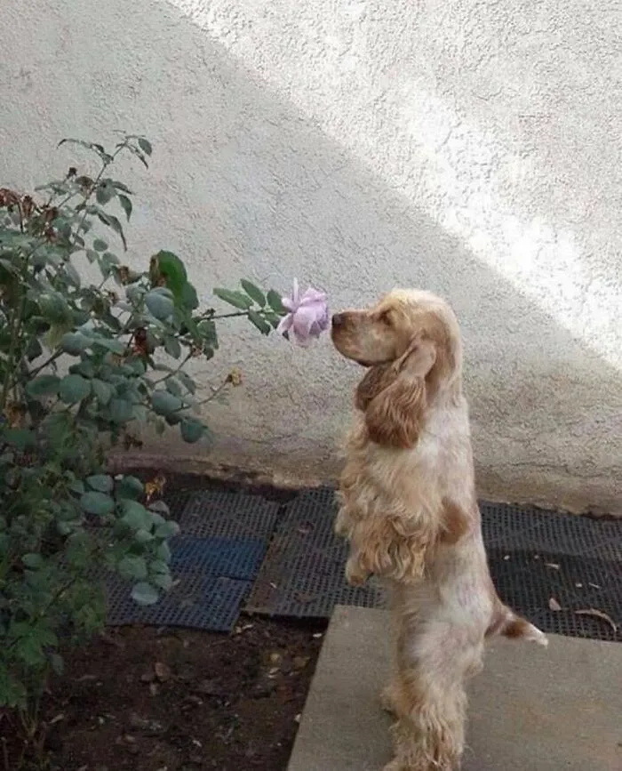 60 Times Animals Were Caught Doing Something So Uniquely Weird People Just Had To Take A Photo (New Pics)