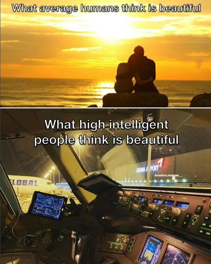 62 Aviation Memes That Prove Pilots And Passengers Think Differently