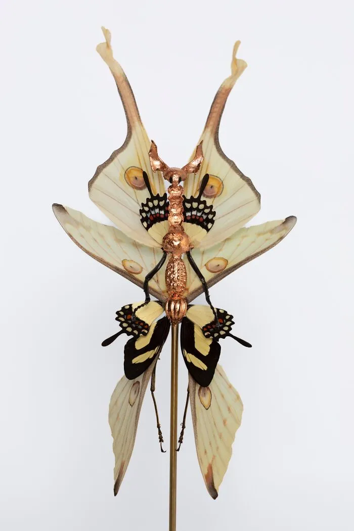 This Artist Creates Surreal Fairies, Floral Skeletons, And Mythical Creatures Out Of Natural Materials (33 Pics)