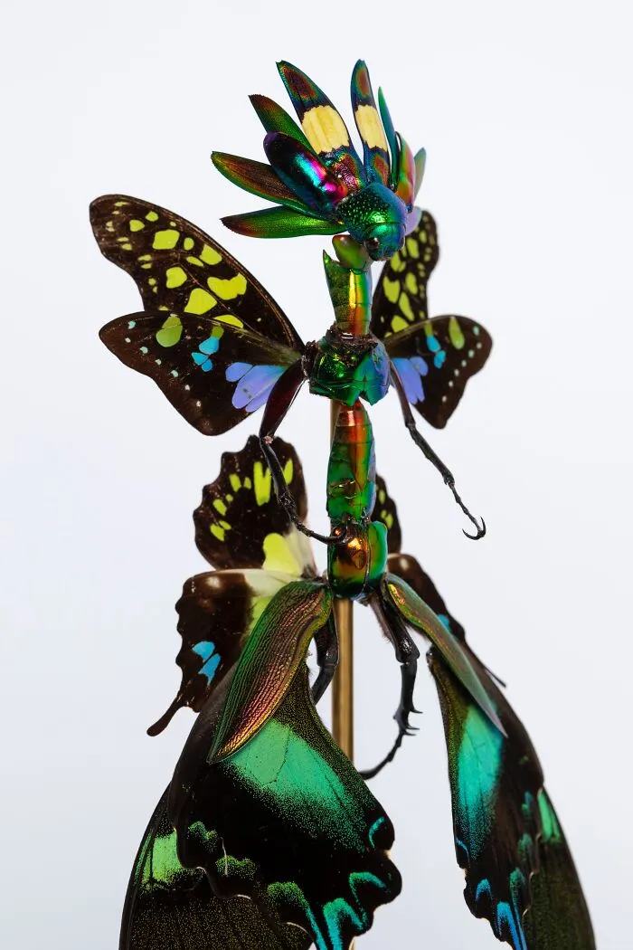 This Artist Creates Surreal Fairies, Floral Skeletons, And Mythical Creatures Out Of Natural Materials (33 Pics)
