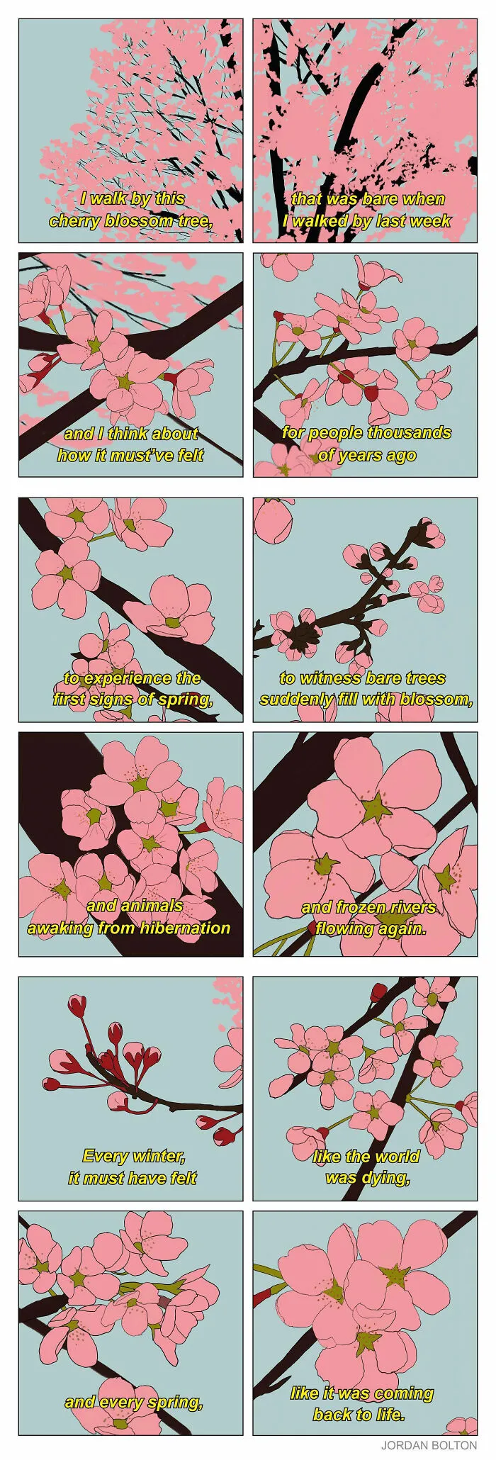 “Cherry Blossom”