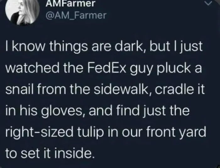 A positive Twitter post from @AM_Farmer about a FedEx guy caring for a snail. It might make your day!