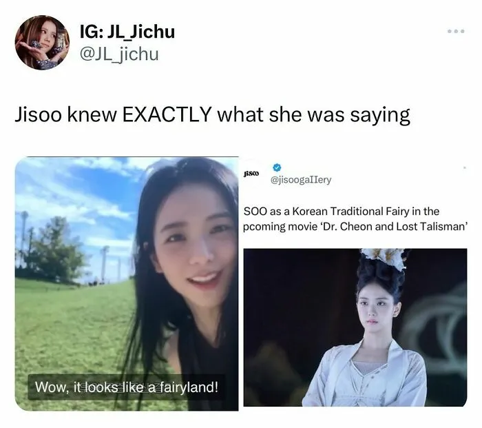 Jisoo knowing exactly with Korean Traditional Fairy meme