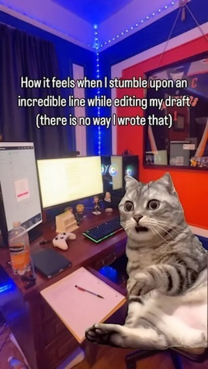 87 Ridiculously Funny Writing Memes That Might Make Authors Feel Called Out