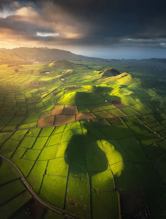 41 New Nature Photos From Around The World That Feel Almost Too Beautiful To Be Real