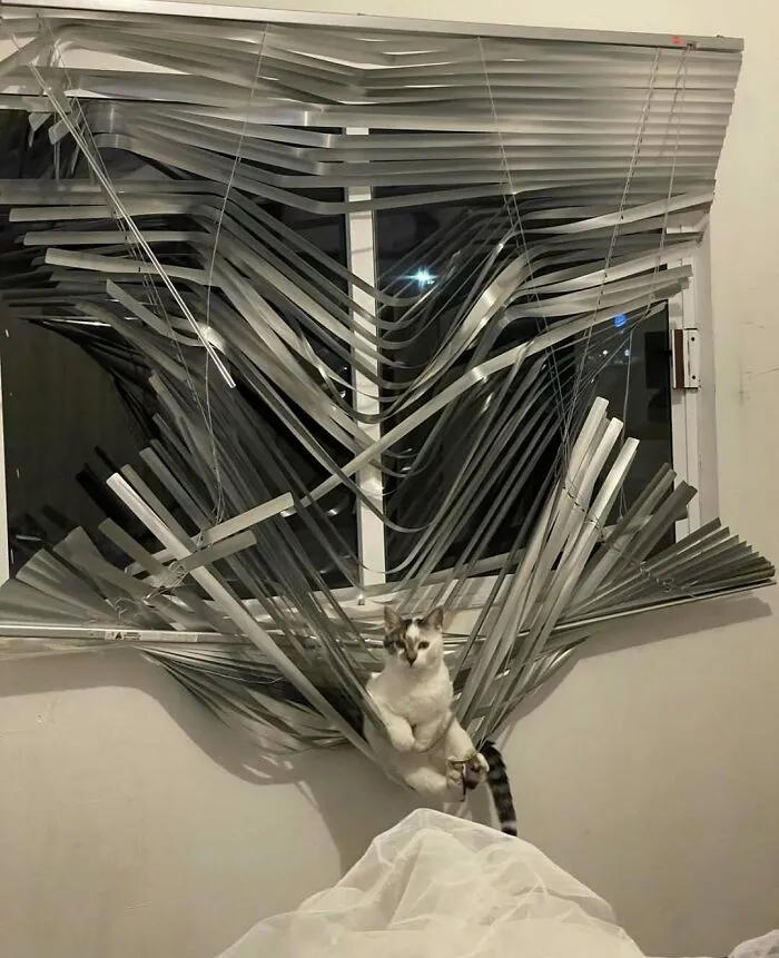 60 Times Animals Were Caught Doing Something So Uniquely Weird People Just Had To Take A Photo (New Pics)