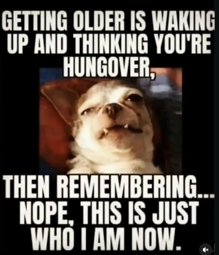 “You’re A Monster In Bed”: 71 Random Memes To Bring Out The Laughter When You Need It Most