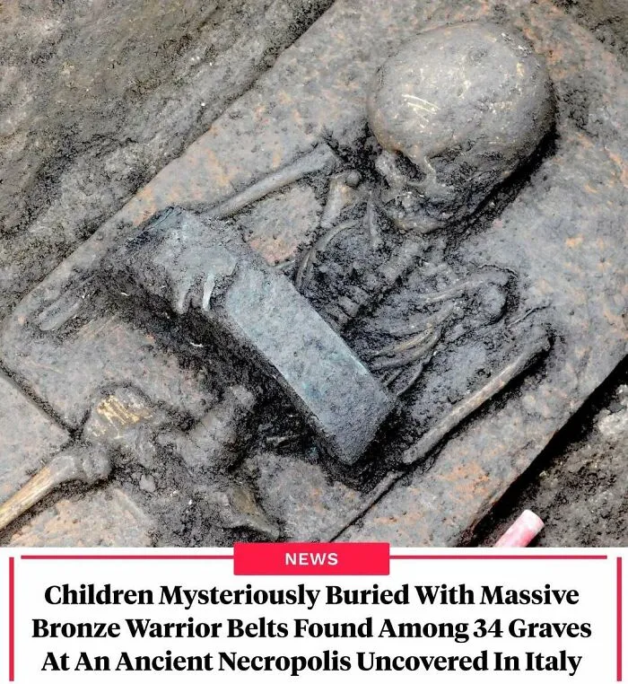 Skeleton buried with bronze warrior belts found in ancient Italy necropolis