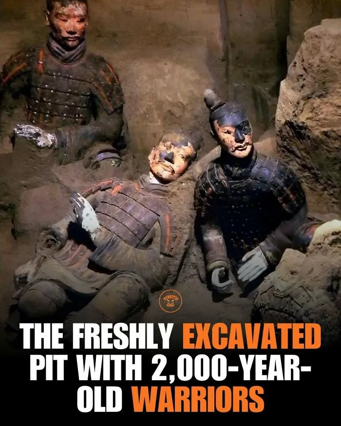 Freshly excavated pit displaying 2000-year-old warriors in armor