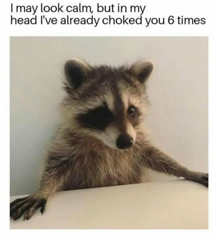 “You’re A Monster In Bed”: 71 Random Memes To Bring Out The Laughter When You Need It Most