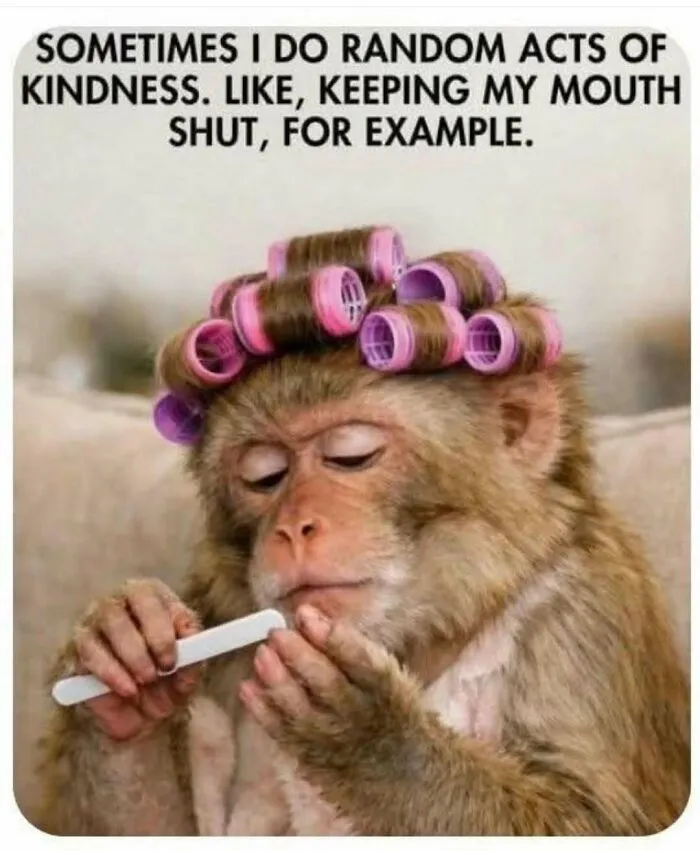 “You’re A Monster In Bed”: 71 Random Memes To Bring Out The Laughter When You Need It Most