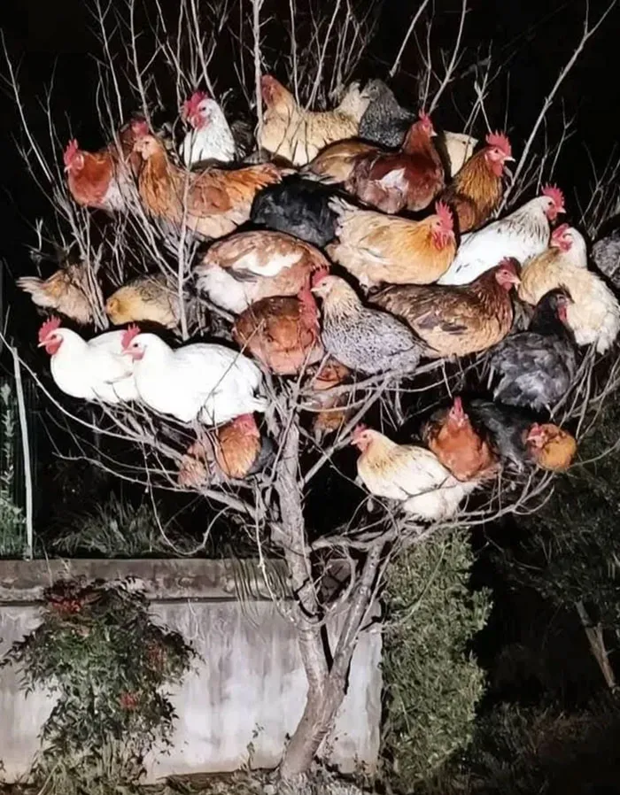 89 Random Images That Make Absolutely No Sense And Are Weird As Hell