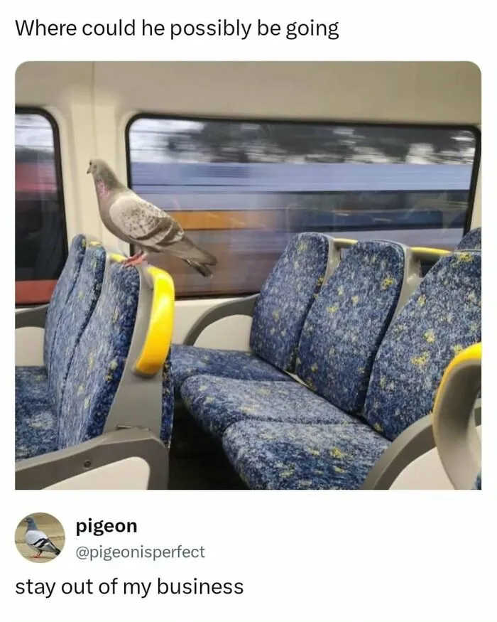 “Memes Worth Saving”: 65 Posts To Keep You Entertained When Nothing Brings You Joy Anymore