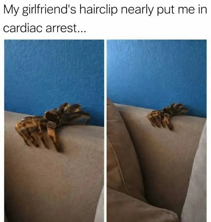 Random-Satisfying-Funny-Memes
