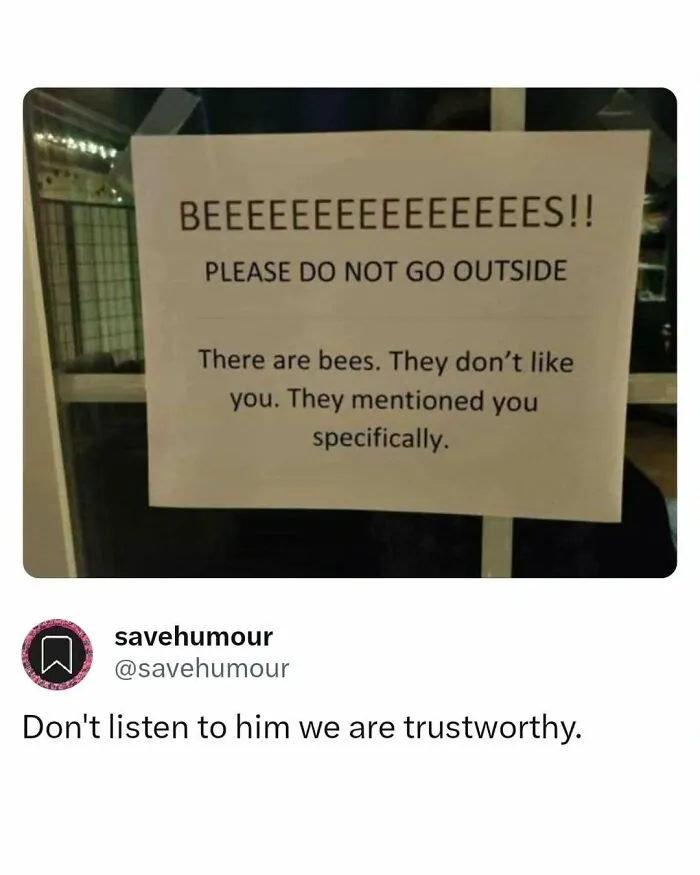 “Memes Worth Saving”: 65 Posts To Keep You Entertained When Nothing Brings You Joy Anymore