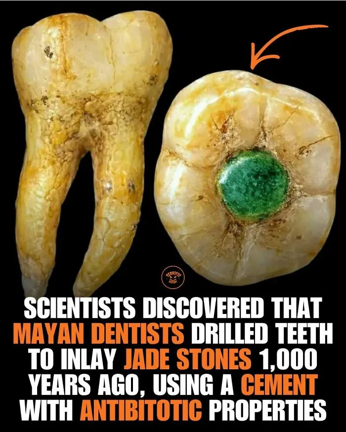 100 Creepy Historical Facts That Sound Too Horrifying To Be Real