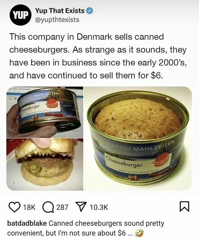 Canned cheeseburger from Denmark sold for six dollars meme