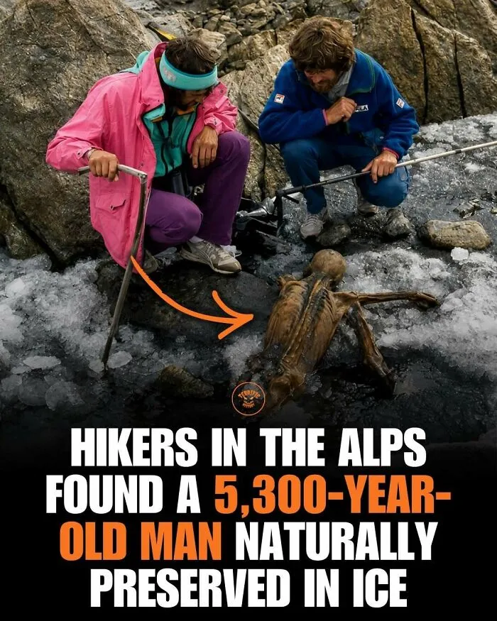 Hikers discover a 5300-year-old man naturally preserved in ice in the Alps
