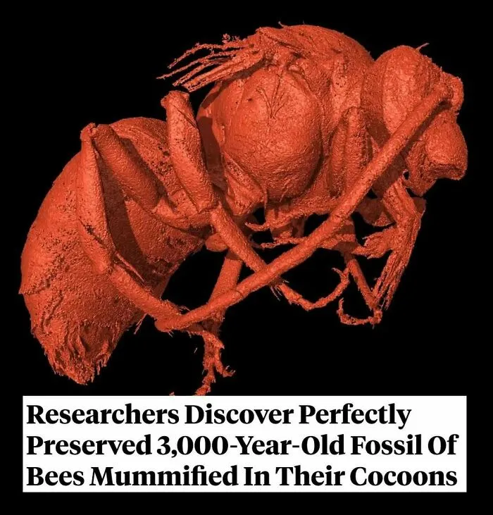77 Historical Facts And Stories That Sound Too Strange To Be Real