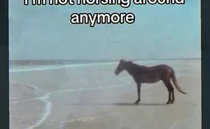 89 Random Images That Make Absolutely No Sense And Are Weird As Hell